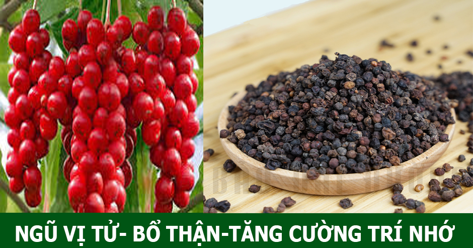 Ngũ vị tử
